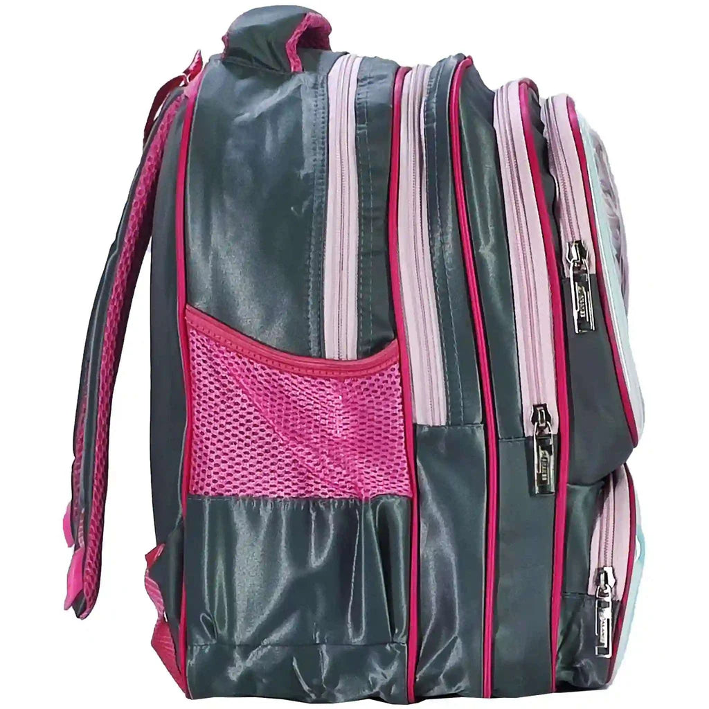 Frozen School Bag