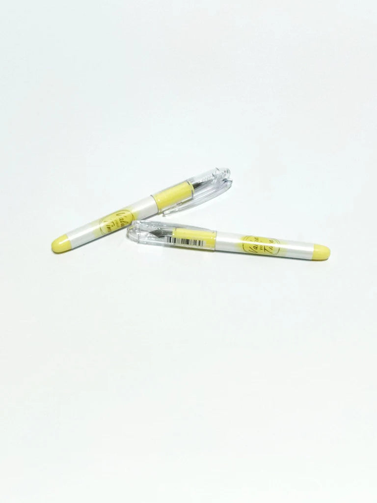 M&G Fountain Pen