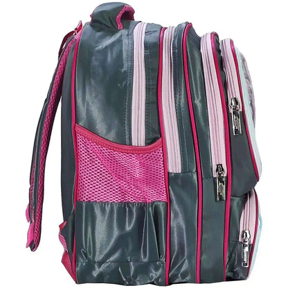 Frozen School Bag